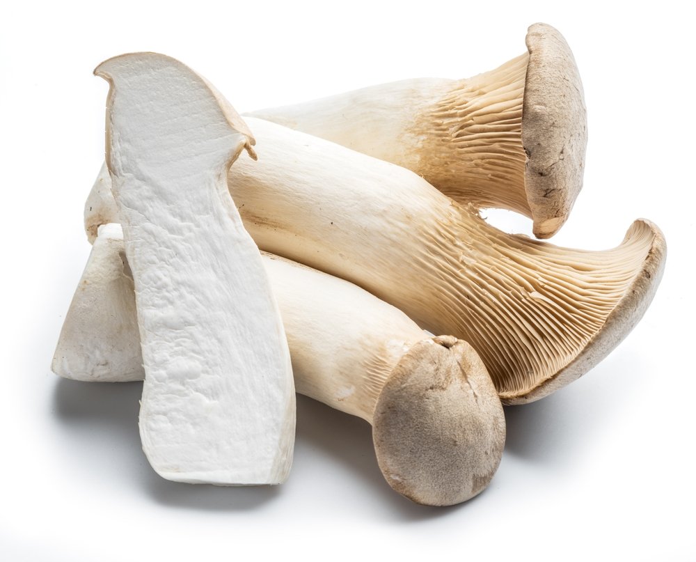 Boczniak królewski (Pleurotus eryngii)